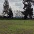  Land for sale in Chile, Codegua, Cachapoal, Libertador General Bernardo Ohiggins, Chile