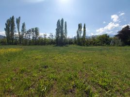  Land for sale in Chile, Codegua, Cachapoal, Libertador General Bernardo Ohiggins, Chile