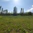  Land for sale in Codegua, Libertador General Bernardo Ohiggins, Codegua