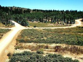  Terreno (Parcela) en venta en Chile, Lolol, Colchagua, Libertador General Bernardo O'Higgins, Chile