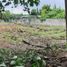 Land for sale in Lapu-Lapu City, Central Visayas, Lapu-Lapu City, Cebu