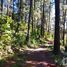  Land for sale in Mineral Del Chico, Hidalgo, Mineral Del Chico