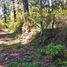  Land for sale in Mineral Del Chico, Hidalgo, Mineral Del Chico