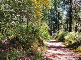  Land for sale in Mineral Del Chico, Hidalgo, Mineral Del Chico