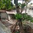 2 Schlafzimmer Villa zu verkaufen in Oslob, Central Visayas, Oslob