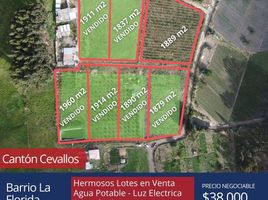  Terreno (Parcela) en venta en Tungurahua, Cevallos, Cevallos, Tungurahua