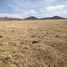  Terreno (Parcela) en venta en Juarez, Chihuahua, Juarez
