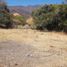  Land for sale in Chapala, Jalisco, Chapala