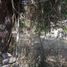  Land for sale in Chapala, Jalisco, Chapala
