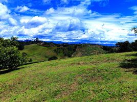  Terreno (Parcela) en venta en Marinilla, Antioquia, Marinilla