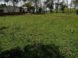  Terreno (Parcela) en venta en San Roque, Antioquia, San Roque