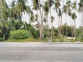  Land for sale in Sibulan, Negros Oriental, Sibulan