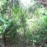  Land for sale in City of Naga, Cebu, City of Naga