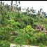  Land for sale in City of Naga, Cebu, City of Naga