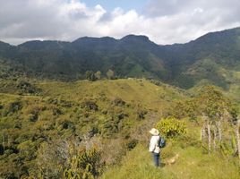  Villa en venta en Santo Domingo, Antioquia, Santo Domingo