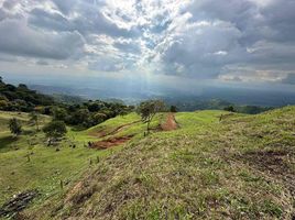  Land for sale in Palmira, Valle Del Cauca, Palmira