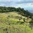  Land for sale in Palmira, Valle Del Cauca, Palmira