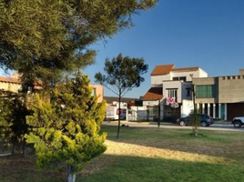 Maison 3 chambre à vendre à San Agustin Tlaxiaca, Hidalgo, San Agustin Tlaxiaca, Hidalgo