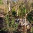  Terreno (Parcela) en venta en Tagaytay City, Calabarzon, Tagaytay City