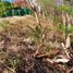  Terreno (Parcela) en venta en Tagaytay City, Calabarzon, Tagaytay City