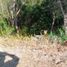  Terreno (Parcela) en venta en Tagaytay City, Calabarzon, Tagaytay City