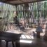  Grundstück zu verkaufen in Othon P Blanco, Quintana Roo, Othon P Blanco