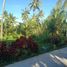  Land for sale in Liloan, Central Visayas, Liloan
