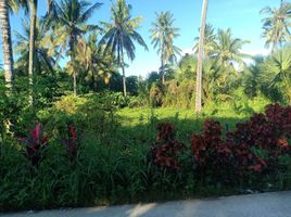  Land for sale in Liloan, Central Visayas, Liloan