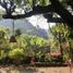1 Bedroom House for sale in Tepoztlan, Morelos, Tepoztlan, Morelos