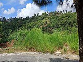  Land for sale in Cavite, Calabarzon, Tagaytay City, Cavite