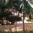  Land for sale in El Nido, Mimaropa, El Nido