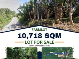  Terrain for sale in Bataan, Central Luzon, Mariveles, Bataan