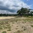  Land for sale in Liloan, Central Visayas, Liloan