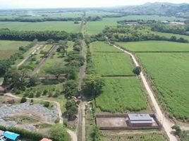  Terreno (Parcela) en venta en Tulua, Valle Del Cauca, Tulua