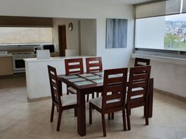 3 Habitación Apartamento en alquiler en San Luis Potosi, San Luis Potosí, San Luis Potosi, San Luis Potosí, México