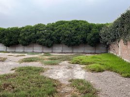  Grundstück zu verkaufen in Pachacamac, Lima, Pachacamac, Lima, Lima