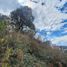  Terreno (Parcela) en venta en Morelia, Michoacán, Morelia, Michoacán