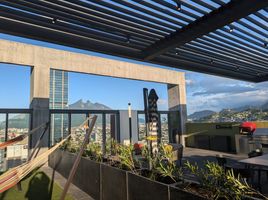 3 Habitación Apartamento en alquiler en Monterrey, Nuevo León, Monterrey