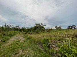  Land for sale in Liloan, Central Visayas, Liloan