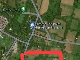  Land for sale in Balamban, Central Visayas, Balamban