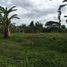  Land for sale in Balamban, Central Visayas, Balamban