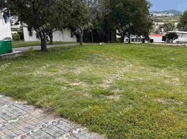  Land for sale in Santa Isabel Cholula, Puebla, Santa Isabel Cholula