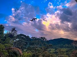  Terreno (Parcela) en venta en Tulua, Valle Del Cauca, Tulua