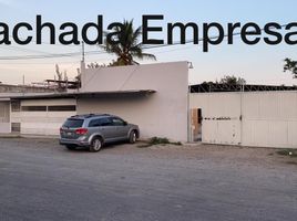 0 m² Office for rent in Veracruz, Veracruz, Veracruz