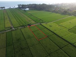  Land for sale in Kerambitan, Tabanan, Kerambitan