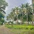  Land for sale in Gitagum, Northern Mindanao, Gitagum
