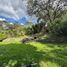 3 Habitación Casa en alquiler en Loja, Vilcabamba (Victoria), Loja, Loja