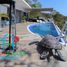4 Habitación Casa en alquiler en Acapulco, Guerrero, Acapulco, Guerrero