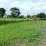  Land for sale in Ubud, Gianyar, Ubud