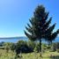  Land for sale in Chile, Villarrica, Cautin, Araucania, Chile